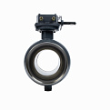 065N0161GR RJIP Premium Кран шаровой WW DN250 PN25 WG (приварной, с редуктором, С/П), Ридан